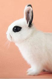 《黎明杀机》发布“一切邪恶”预告片 3月21日正式开启